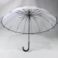 Transparent Umbrella