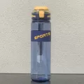 Straw Water Bottle 