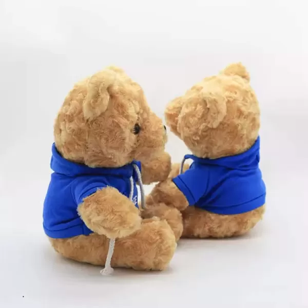 Plush Teddy Bear