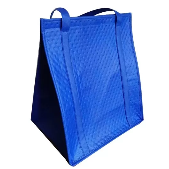 Non-Woven Cooler bag