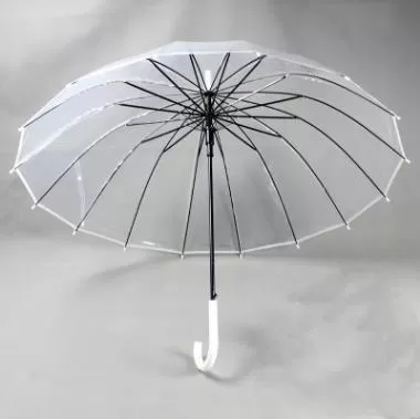 Transparent Umbrella