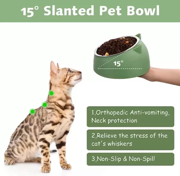 15° Elevated Pet's Food Bowl 