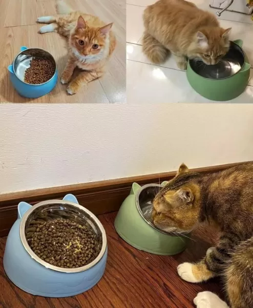 15° Elevated Pet's Food Bowl 