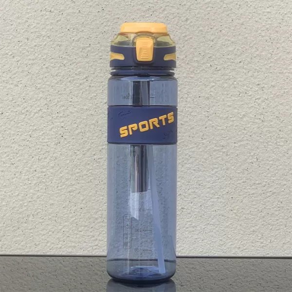 Straw Water Bottle 