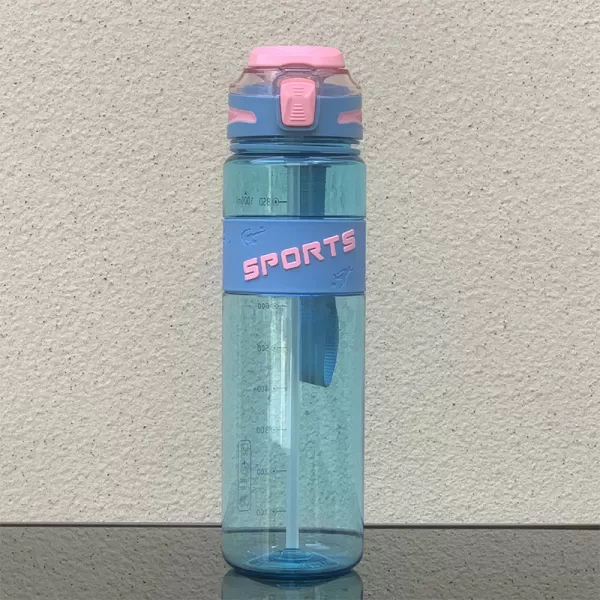 Straw Water Bottle 