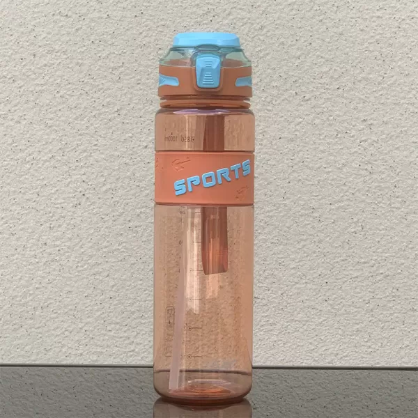 Straw Water Bottle 