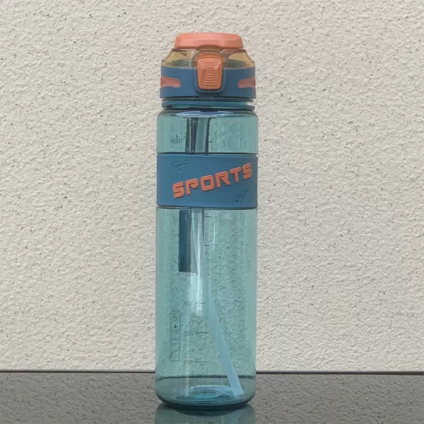 Straw Water Bottle 