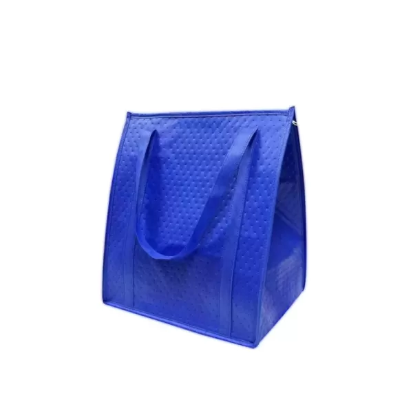 Non-Woven Cooler bag